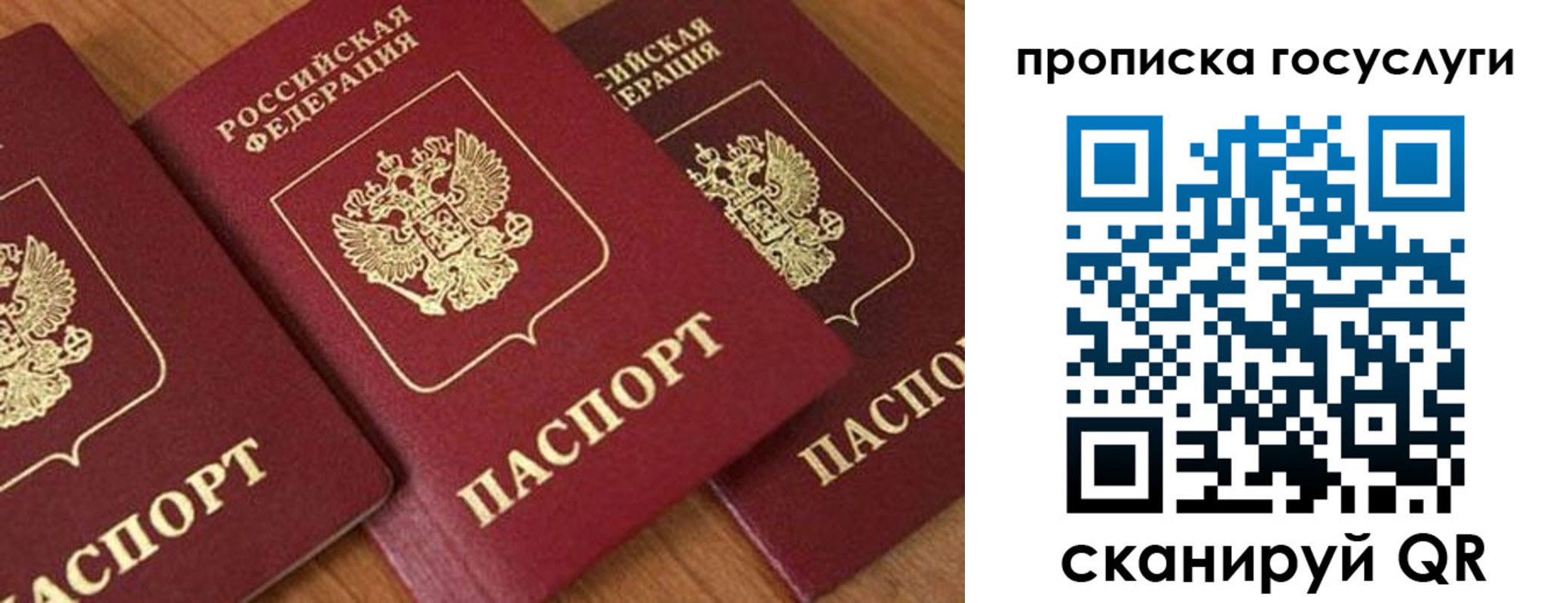 временная прописка в Ивантеевке